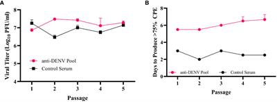 Replication in the presence of dengue convalescent serum impacts Zika virus neutralization sensitivity and fitness